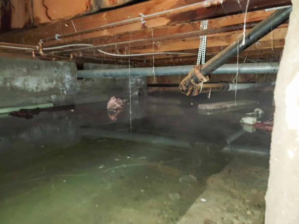 Best Ceiling water damage repair  in Cape May Court House, NJ
