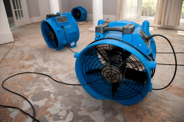Best Local water damage restoration  in Cape May Court House, NJ