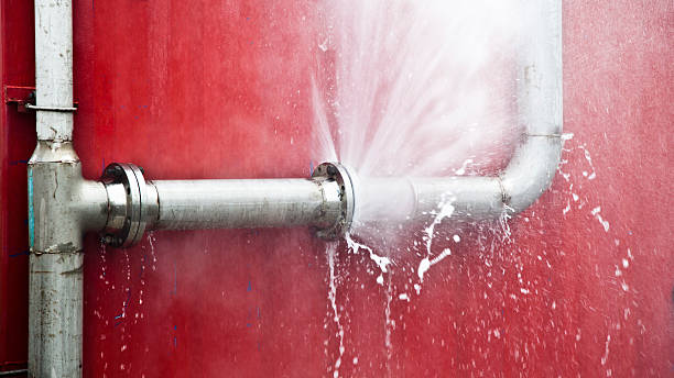Best Sewage cleanup and water damage restoration  in Cape May Court House, NJ