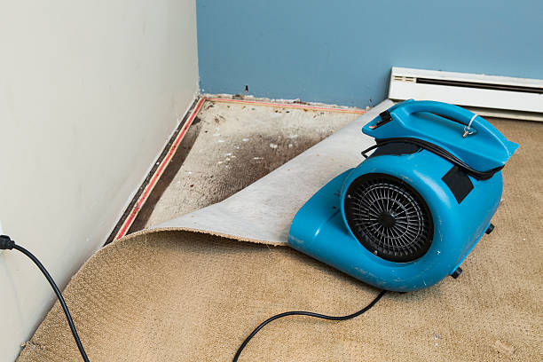 Best Basement water damage restoration  in Cape May Court House, NJ